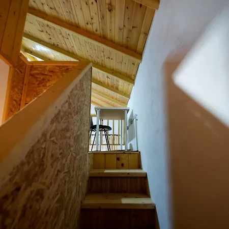 Semesterbostad Natural Zogaj