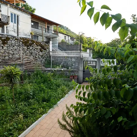 Natural Zogaj Semesterbostad *