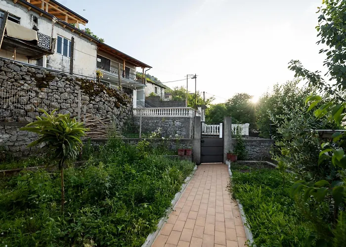 Natural Zogaj * Szkodra